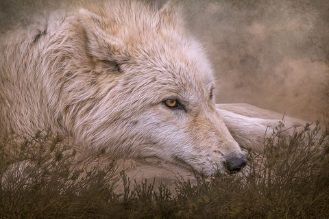 Taking a Break White Modern Wood Framed Art Print with Double Matting by Parker, Kelley