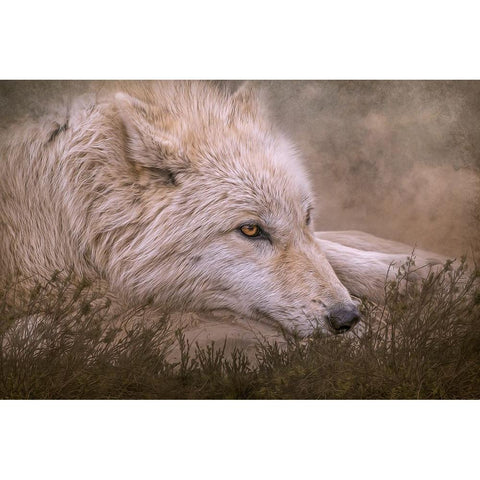 Taking a Break Black Modern Wood Framed Art Print with Double Matting by Parker, Kelley