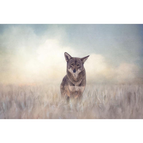 Winters Red White Modern Wood Framed Art Print by Parker, Kelley