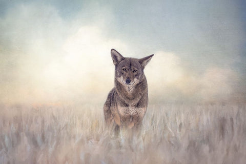 Winters Red White Modern Wood Framed Art Print with Double Matting by Parker, Kelley