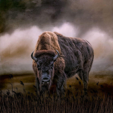 Master of His Herd Gold Ornate Wood Framed Art Print with Double Matting by Parker, Kelley