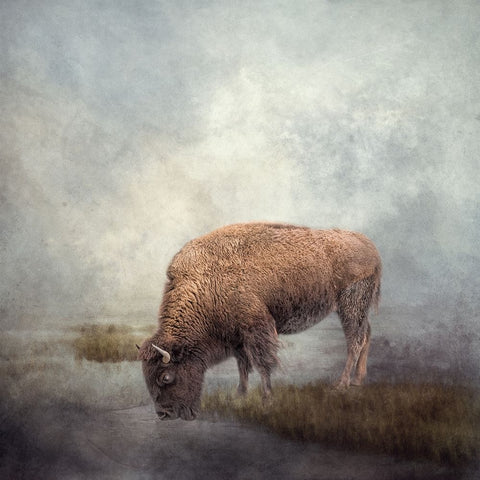 At the Watering Hole Black Ornate Wood Framed Art Print with Double Matting by Parker, Kelley