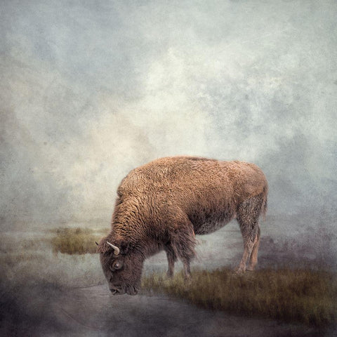 At the Watering Hole Black Modern Wood Framed Art Print by Parker, Kelley