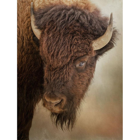 Eye of the Bison Gold Ornate Wood Framed Art Print with Double Matting by Parker, Kelley