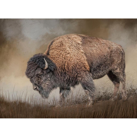 Where the Bison Roam Black Modern Wood Framed Art Print with Double Matting by Parker, Kelley
