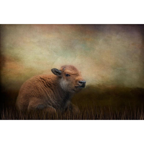 Next Generation Black Modern Wood Framed Art Print with Double Matting by Parker, Kelley