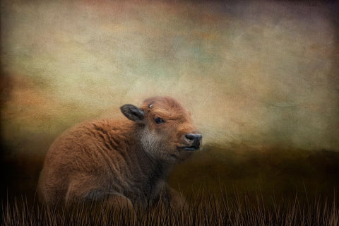 Next Generation Black Ornate Wood Framed Art Print with Double Matting by Parker, Kelley