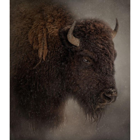 Deep Freeze White Modern Wood Framed Art Print by Parker, Kelley