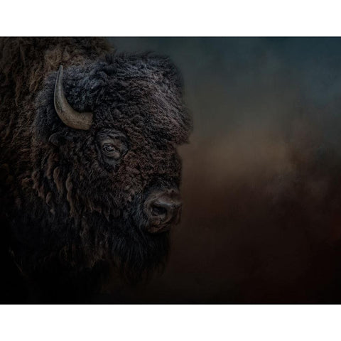 Harley Gold Ornate Wood Framed Art Print with Double Matting by Parker, Kelley