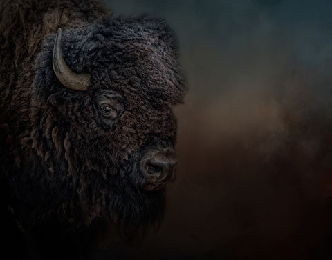 Harley White Modern Wood Framed Art Print with Double Matting by Parker, Kelley