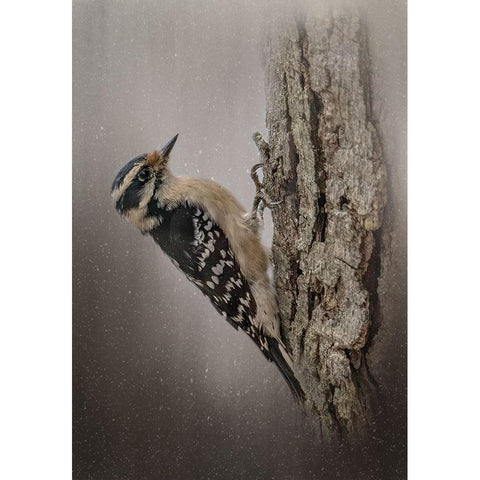 Little Carpenter Black Modern Wood Framed Art Print with Double Matting by Parker, Kelley