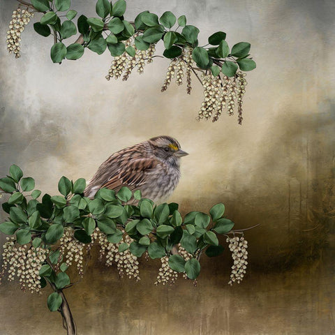 Nestled White Modern Wood Framed Art Print by Parker, Kelley