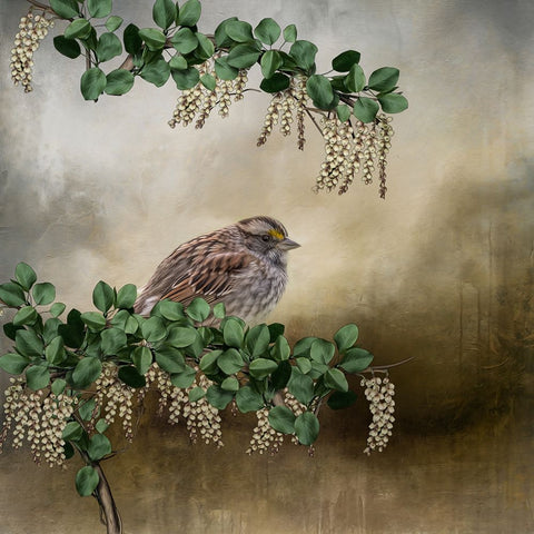 Nestled White Modern Wood Framed Art Print with Double Matting by Parker, Kelley