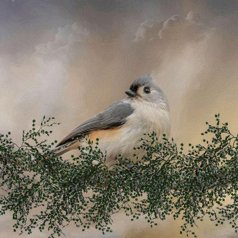 Simple Pleasures Black Modern Wood Framed Art Print with Double Matting by Parker, Kelley