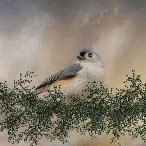 Simple Pleasures White Modern Wood Framed Art Print with Double Matting by Parker, Kelley