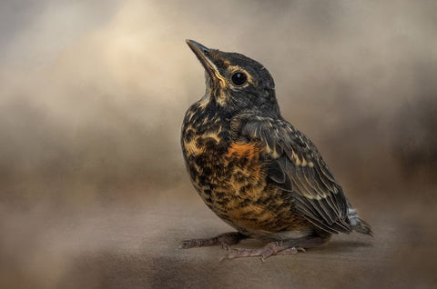 First Outing White Modern Wood Framed Art Print with Double Matting by Parker, Kelley