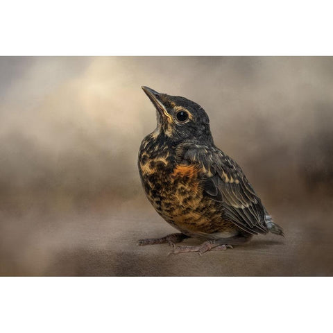 First Outing Black Modern Wood Framed Art Print by Parker, Kelley