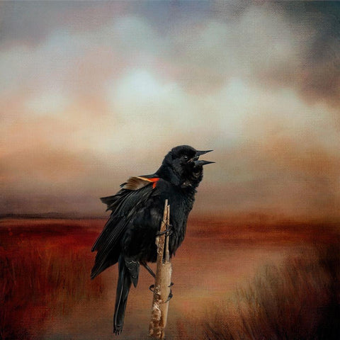 The Singer of the Reed Black Modern Wood Framed Art Print by Parker, Kelley