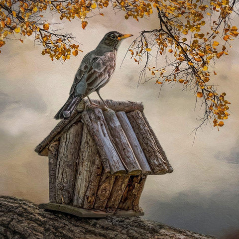 A Place to Perch White Modern Wood Framed Art Print by Parker, Kelley