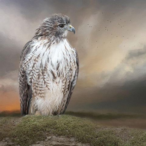 Always on Alert Gold Ornate Wood Framed Art Print with Double Matting by Parker, Kelley