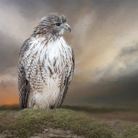 Always on Alert White Modern Wood Framed Art Print with Double Matting by Parker, Kelley