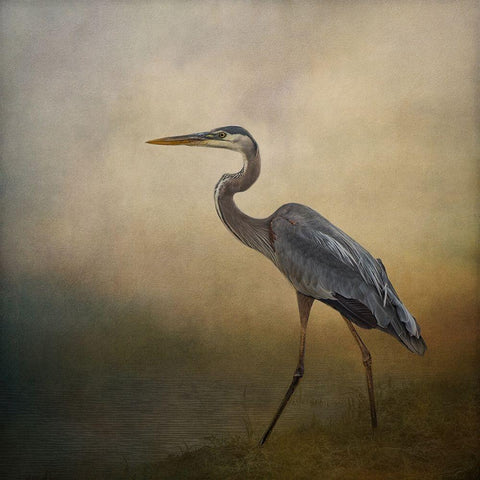 Blue Elegance Black Modern Wood Framed Art Print by Parker, Kelley