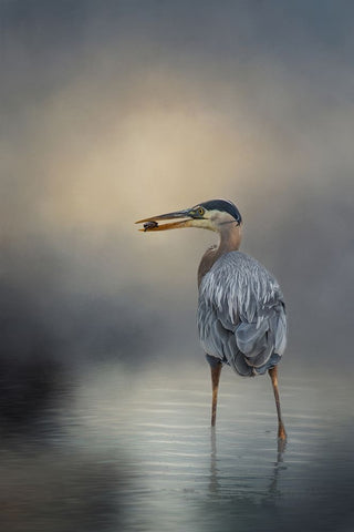 Catch of the Day White Modern Wood Framed Art Print with Double Matting by Parker, Kelley