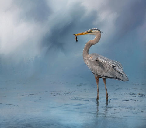 Mornings Catch White Modern Wood Framed Art Print with Double Matting by Parker, Kelley