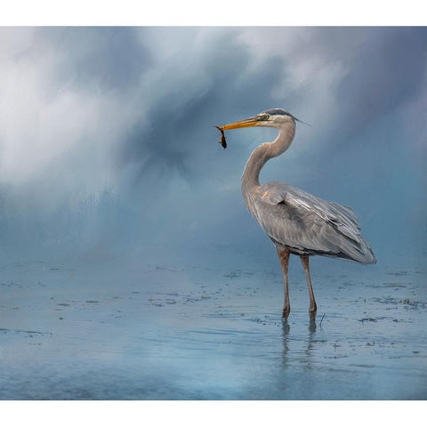 Mornings Catch Black Modern Wood Framed Art Print by Parker, Kelley