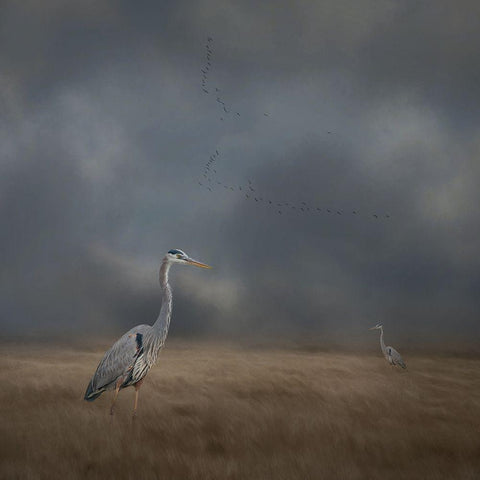 Herons Sanctuary Gold Ornate Wood Framed Art Print with Double Matting by Parker, Kelley