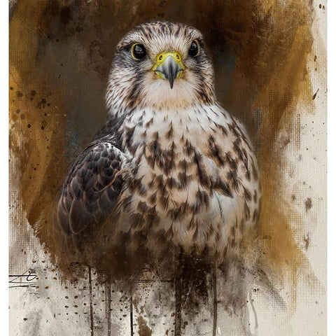 Falcon Spirit Gold Ornate Wood Framed Art Print with Double Matting by Parker, Kelley