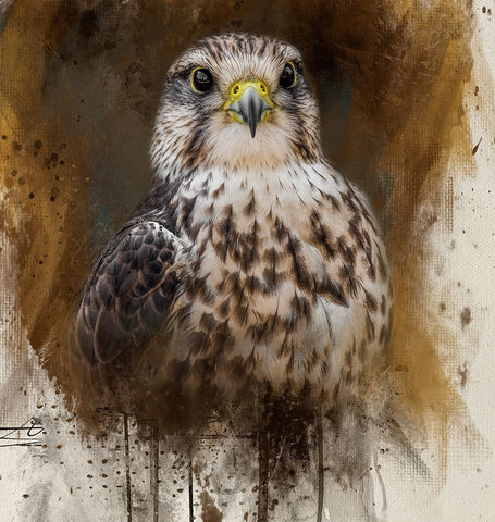 Falcon Spirit White Modern Wood Framed Art Print with Double Matting by Parker, Kelley