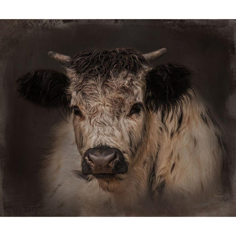 Cow Boy Gold Ornate Wood Framed Art Print with Double Matting by Parker, Kelley