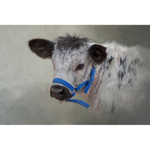 Little Elmer Black Modern Wood Framed Art Print by Parker, Kelley