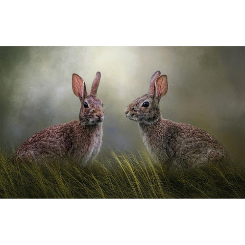 Forest Friends Black Modern Wood Framed Art Print by Parker, Kelley