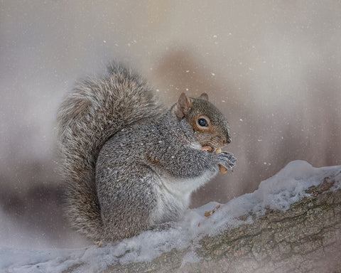 Winters Bounty Black Ornate Wood Framed Art Print with Double Matting by Parker, Kelley