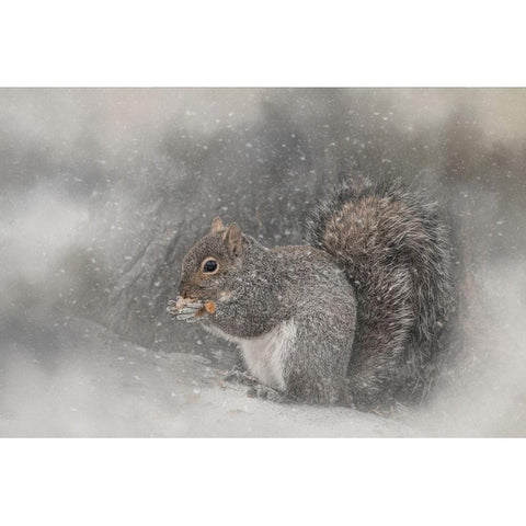 Snack Time Black Modern Wood Framed Art Print by Parker, Kelley