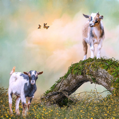 Getting a Better View White Modern Wood Framed Art Print with Double Matting by Parker, Kelley