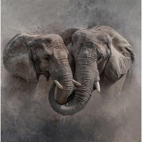 Big Hug White Modern Wood Framed Art Print by Parker, Kelley