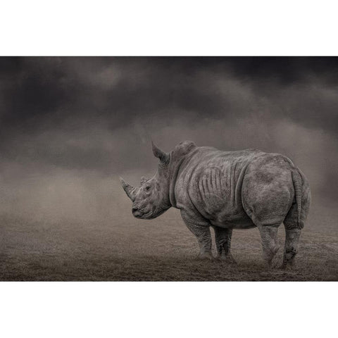 Shade of Gray Black Modern Wood Framed Art Print with Double Matting by Parker, Kelley