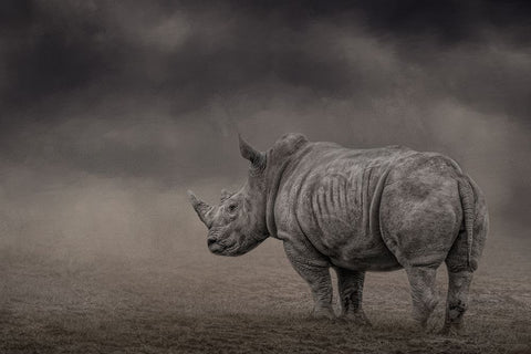 Shade of Gray White Modern Wood Framed Art Print with Double Matting by Parker, Kelley