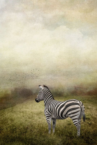 Surveying the Landscape White Modern Wood Framed Art Print with Double Matting by Parker, Kelley