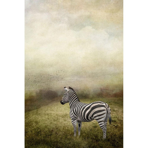 Surveying the Landscape Black Modern Wood Framed Art Print by Parker, Kelley