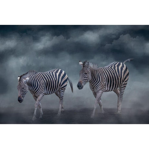 Traveling Companions Black Modern Wood Framed Art Print with Double Matting by Parker, Kelley