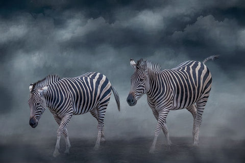 Traveling Companions White Modern Wood Framed Art Print with Double Matting by Parker, Kelley