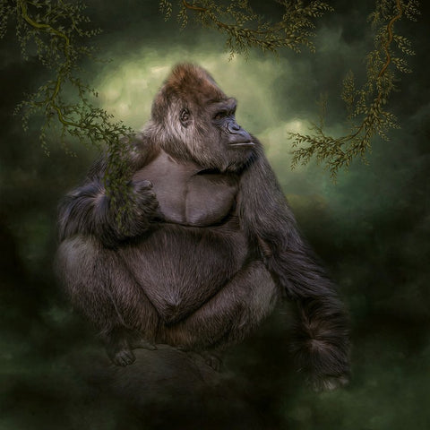 Welcome to the Safari White Modern Wood Framed Art Print with Double Matting by Parker, Kelley