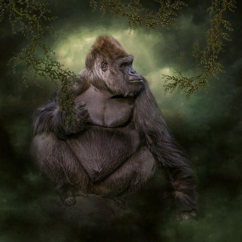 Welcome to the Safari Black Modern Wood Framed Art Print with Double Matting by Parker, Kelley