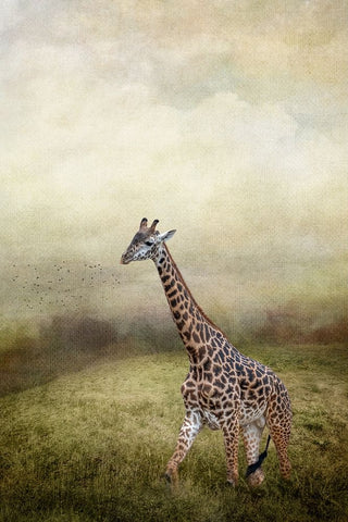 Passing Through White Modern Wood Framed Art Print with Double Matting by Parker, Kelley