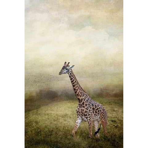 Passing Through White Modern Wood Framed Art Print by Parker, Kelley