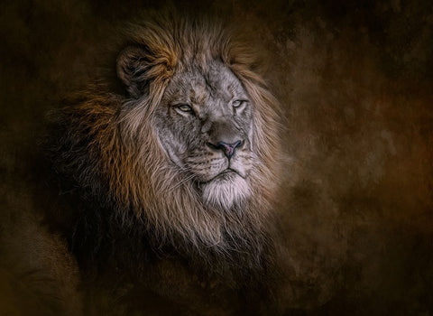 Inner Strength Black Ornate Wood Framed Art Print with Double Matting by Parker, Kelley